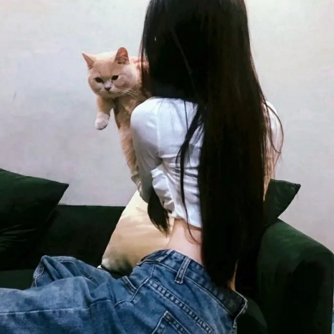 狗假死之物