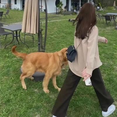 陵园路口